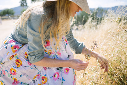 An insider's guide to the Guadalupe Valley in Baja on 100 Layer Cake Inspiration