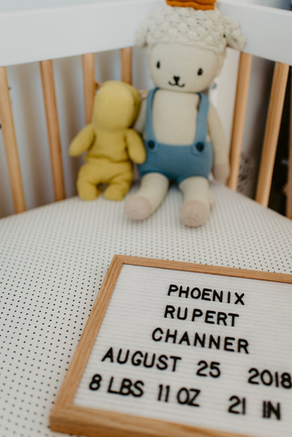 Fresh 48 session and sweet modern boy's nursery