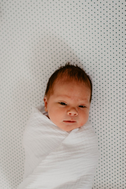 Fresh 48 session and sweet modern boy's nursery