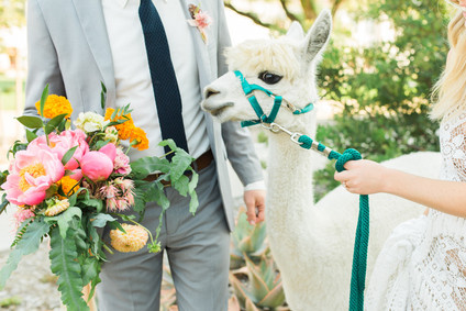 Spanish floral fiesta in Ventura, CA