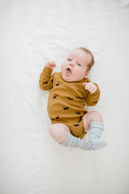 Earthy modern pastels for a baby boy's nursery in Portland from Paige Jones