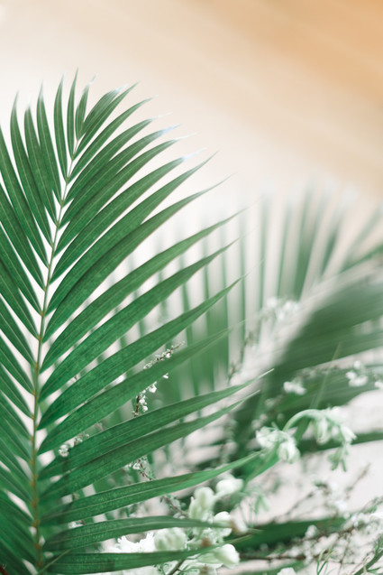 A stunning bridal editorial with a giant pink camellia tree