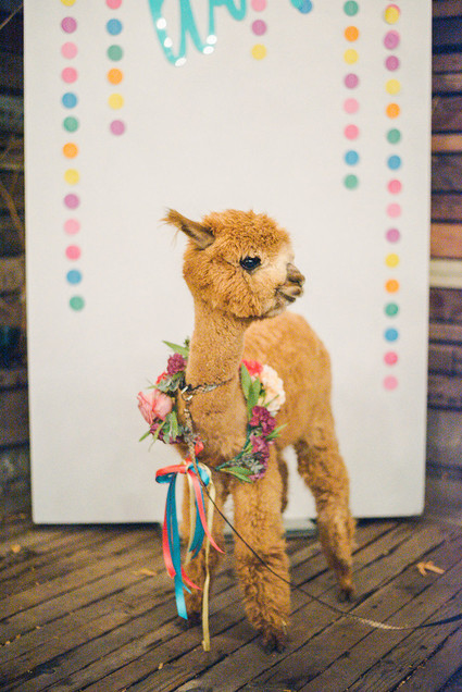 Ultra colorful modern Bat Mitzvah