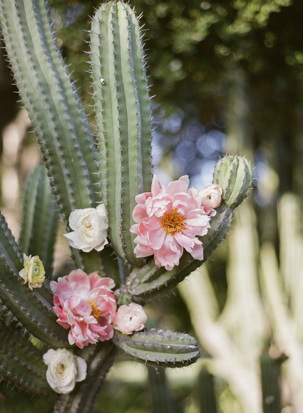 Peonies and cactus in a spring wedding