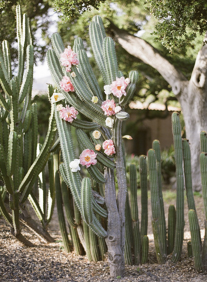 Peonies and cactus in a spring wedding