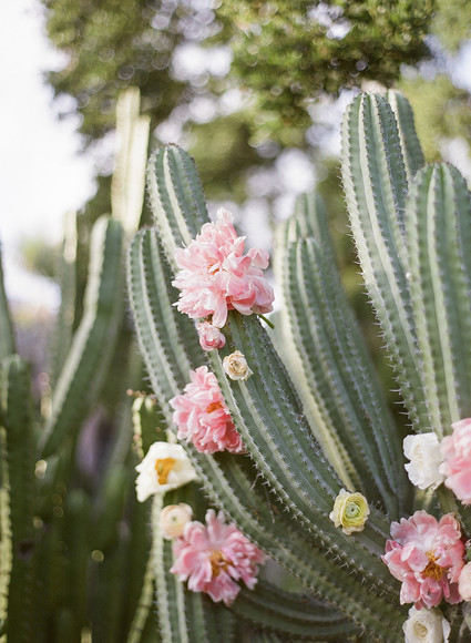 Peonies and cactus in a spring wedding