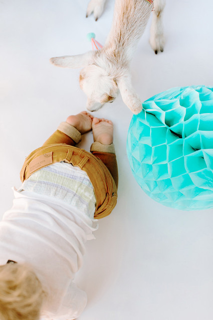 Greatest of All Time (G.O.A.T.) first birthday cake smash session