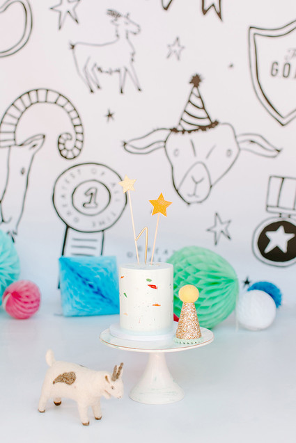 Greatest of All Time (G.O.A.T.) first birthday cake smash session Inspiration