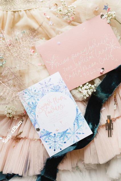 Magical sugar plum fairy party