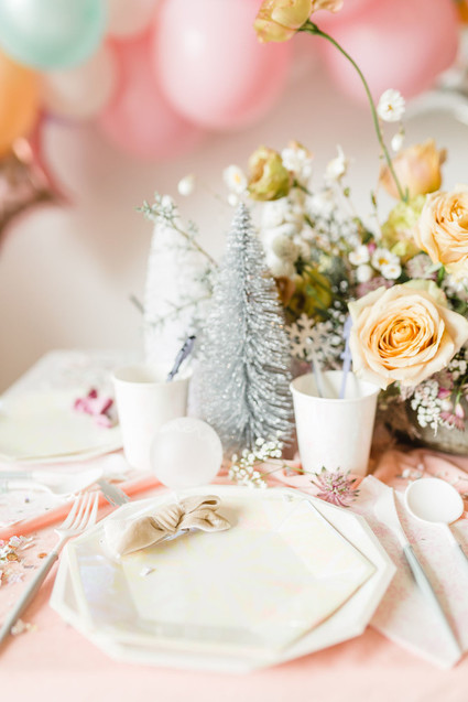 Magical sugar plum fairy party Inspiration