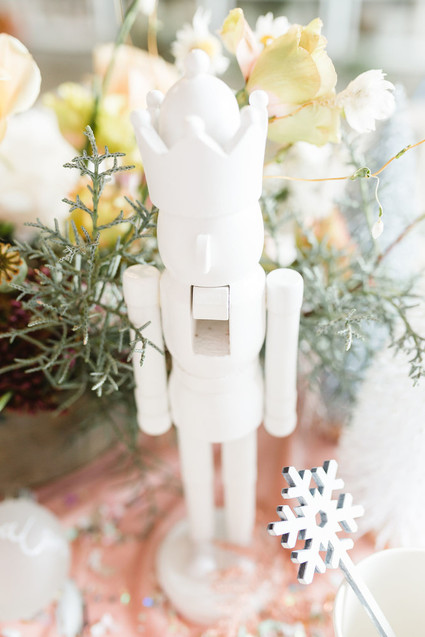 Magical sugar plum fairy party