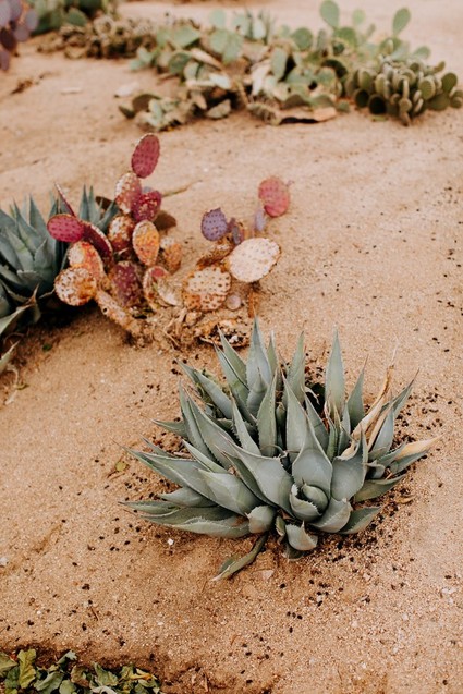 Ultra chic Joshua Tree wedding at Rimrock Ranch on 100 Layer Cake