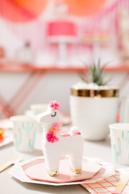 Festive all pink llama party inspiration Inspiration