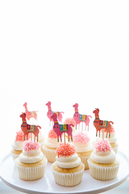 Festive all pink llama party inspiration Inspiration