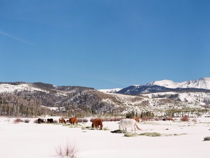 Luxe winter Rocky Mountain ranch wedding