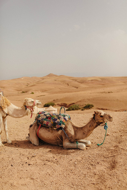 The ultimate in laid back desert chic is this stylish wedding in the Agfay desert outside of Marrakesh
