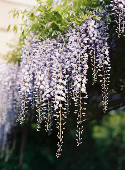 The most romantic elopement ever on the canals of Venice, Italy