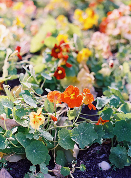 The most romantic elopement ever on the canals of Venice, Italy