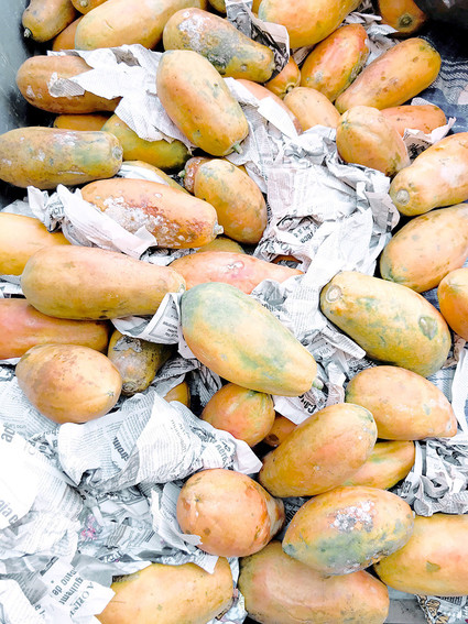 Girl's trip to Cala De Mar in Ixtapa, Mexico