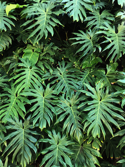 Girl's trip to Cala De Mar in Ixtapa, Mexico