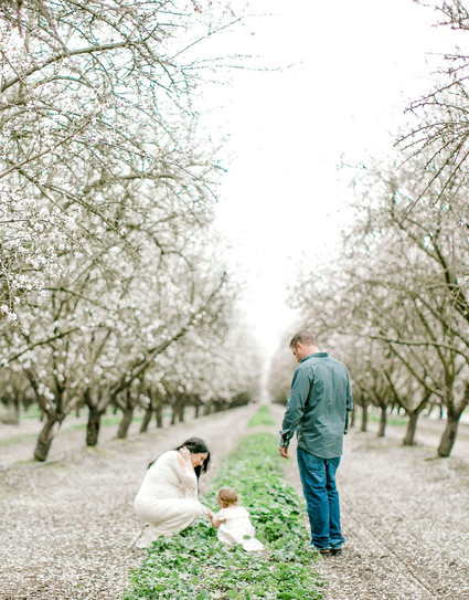 Almond orchard maternity photos in the central valley of California