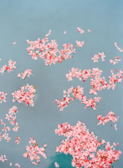 Cherry blossom bridal editorial in Charleston