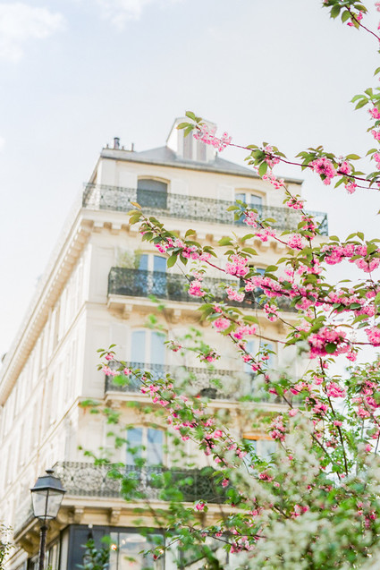 How to elope in Paris in the spring, at the most beautiful Art Nouveau cafe