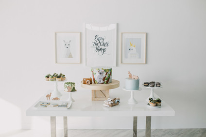 Australian outback first birthday party