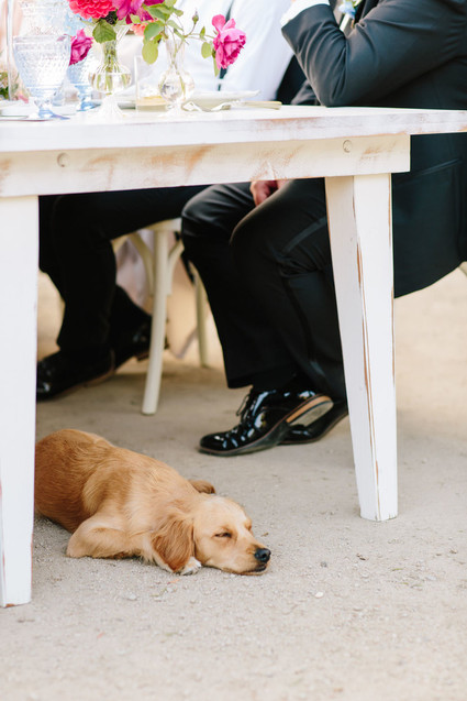 meticulously designed and detailed San Luis Obispo vineyard wedding at Greengate Ranch