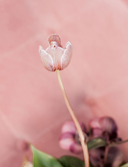 modern tropical wedding ideas at Portland's newest venue