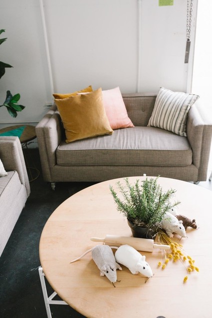 Ratatouille themed second birthday party