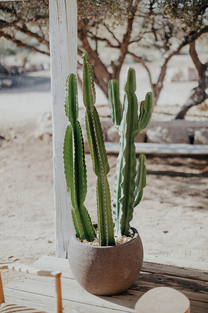 Folksy Joshua Tree wedding with the ultimate desert color palette