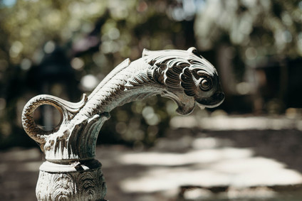 Mexico wedding at Coqui Coqui