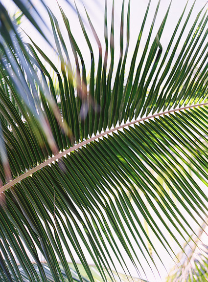Romantic Hawaii wedding with an insanely cool dress, inspired by a Maui sunset