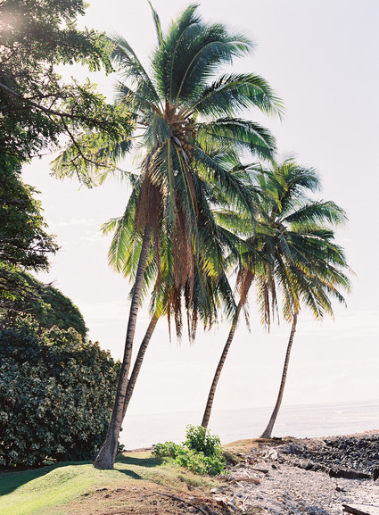 Romantic Hawaii wedding with an insanely cool dress, inspired by a Maui sunset
