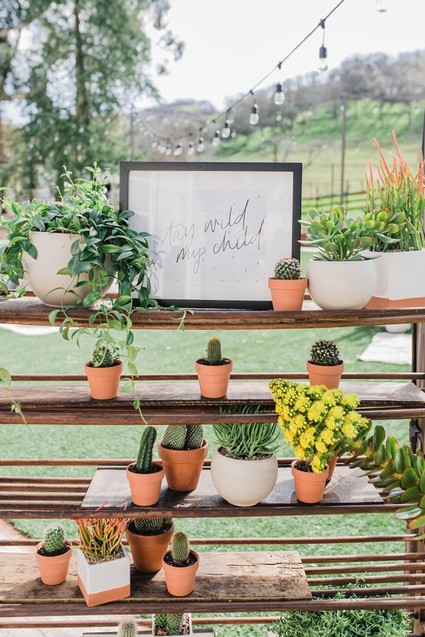 Boho Western boy's baby shower