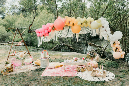 Rainbow alpaca girl's birthday party for twins