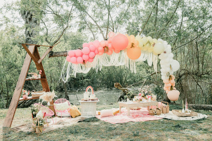 Rainbow alpaca girl's birthday party for twins