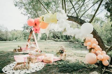 Rainbow alpaca girl's birthday party for twins Inspiration