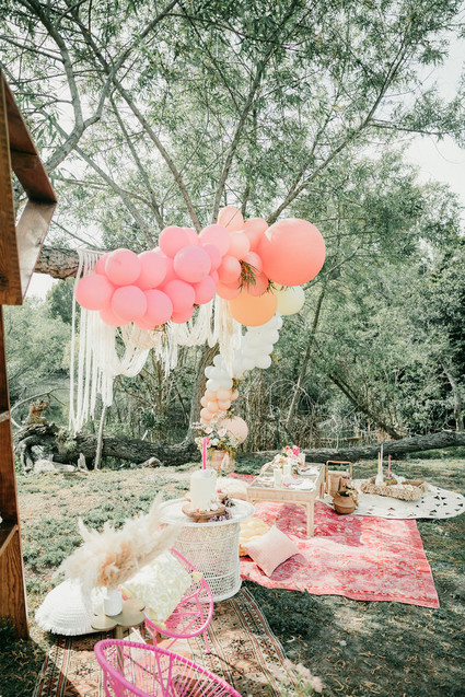 Rainbow alpaca girl's birthday party for twins Inspiration