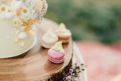 Rainbow alpaca girl's birthday party for twins