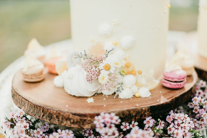 Rainbow alpaca girl's birthday party for twins