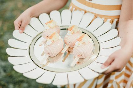 Rainbow alpaca girl's birthday party for twins