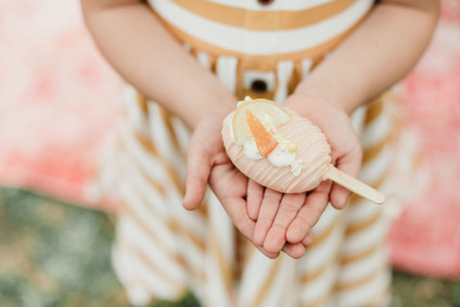 Rainbow alpaca girl's birthday party for twins