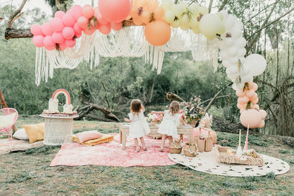 Rainbow alpaca girl's birthday party for twins