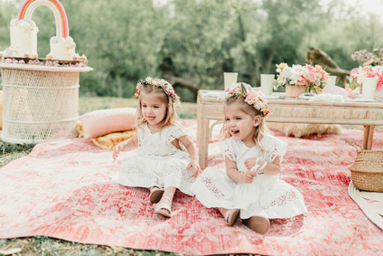 Rainbow alpaca girl's birthday party for twins