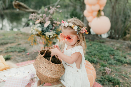 Rainbow alpaca girl's birthday party for twins Inspiration