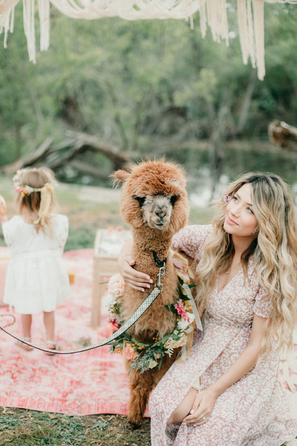 Rainbow alpaca girl's birthday party for twins Inspiration