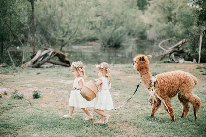Rainbow alpaca girl's birthday party for twins
