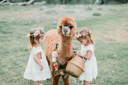 Rainbow alpaca girl's birthday party for twins